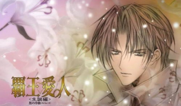 霸王爱人漫画,穿越时空的浪漫传奇